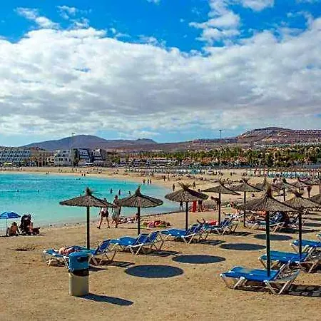 Mariposas Caleta 4*